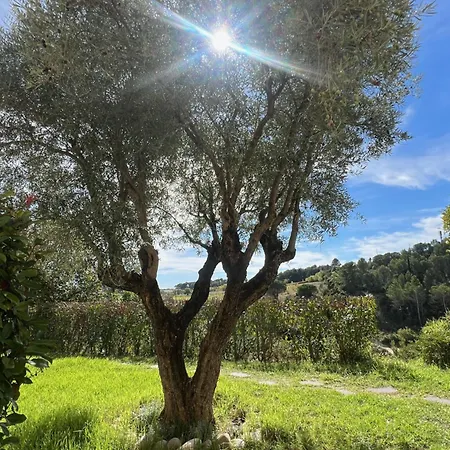 Ξενοδοχείο Logis Restaurant La Bergerie